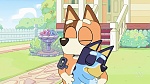 Bluey picture