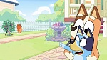 Bluey picture