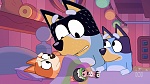 Bluey picture