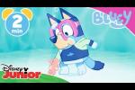 Bluey Video Clips