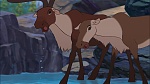 Brother Bear 2 picture