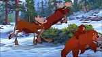 Brother Bear 2 picture