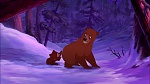 Brother Bear 2 picture