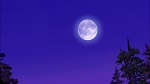 Brother Bear 2 picture