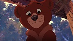 Brother Bear 2 picture