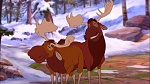 Image Brother Bear 2
