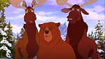Brother Bear 2 picture