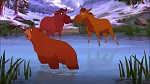 Image Brother Bear 2