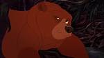 Image Brother Bear 2