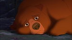Brother Bear 2 picture