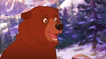 Brother Bear 2 picture