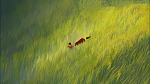 Image Brother Bear 2