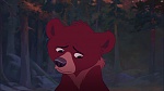 Brother Bear 2 picture