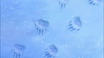 Brother Bear 2 picture