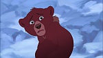 Brother Bear 2 picture