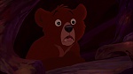 Brother Bear 2 picture