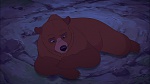 Brother Bear 2 picture