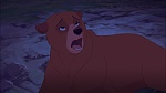 Brother Bear 2 picture