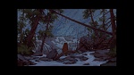 Image Brother Bear