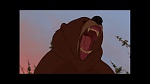 Image Brother Bear