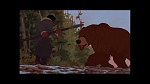 Image Brother Bear