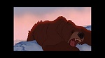 Image Brother Bear