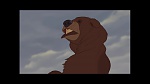 Image Brother Bear