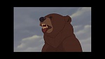 Image Brother Bear
