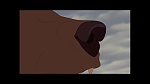 Image Brother Bear