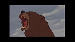 Image Brother Bear