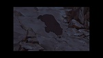 Image Brother Bear