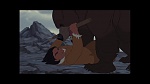 Brother Bear picture