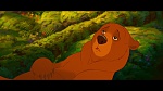 Brother Bear picture