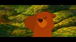 Image Brother Bear