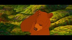Image Brother Bear