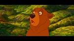 Brother Bear picture