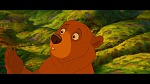 Image Brother Bear