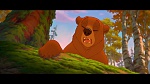 Image Brother Bear