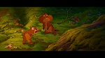 Image Brother Bear