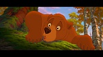 Image Brother Bear