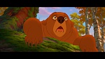 Image Brother Bear