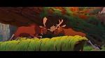 Image Brother Bear