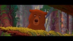 Image Brother Bear