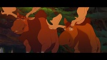 Image Brother Bear