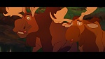 Image Brother Bear