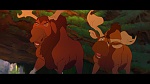 Image Brother Bear