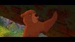 Brother Bear picture
