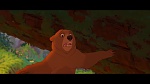 Image Brother Bear
