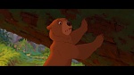 Brother Bear picture