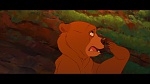 Image Brother Bear
